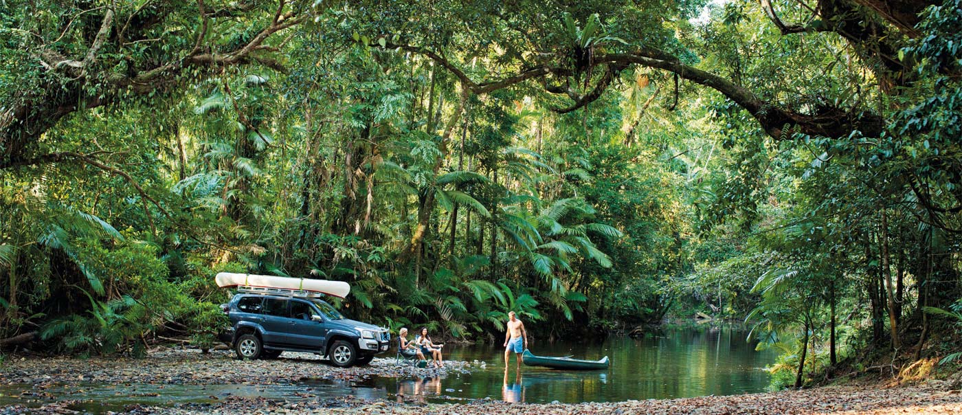 IMAGE COMING - DAINTREE FOREST